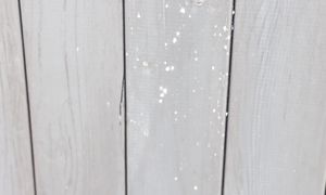 Бетонные элементы. 3-хлетний планкен. Увеличили дверь.