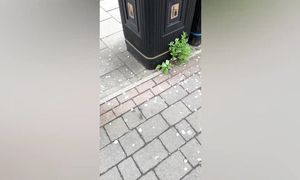 11 дней не выходила из дома  не знаю что делать…