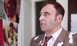 Чудотворец разбрасывает по лесу стволы я не посмел взять его домой!