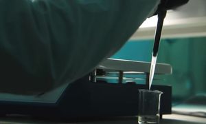 Эти Останки Животных Изменят Всю Историю