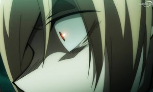 Shaman King Flowers - 12 [DUB]