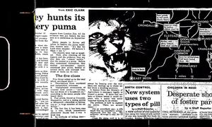 Суррейская Пума. Когда Мир Не Был Готов к Такому Ужасу