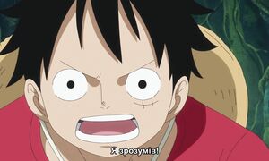 [SaloVpalo] One Piece - 891 [1080p] SUB