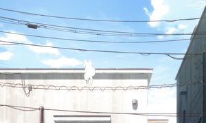 Wind Breaker - 12 [DUB]