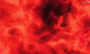 Maou Gakuin no Futekigousha S2 - 23 [DUB]