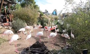 Образование в Литве ???????? мой опыт