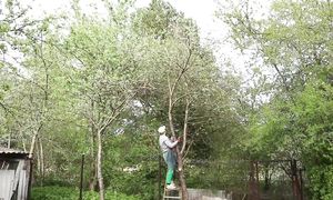 За неделю сделала годовой запас работы :((( Влог