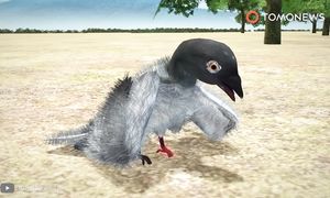 Животные Гиганты, Которые Побили Все Рекорды