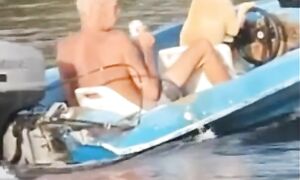 Приколы с котами! С ОЗВУЧКОЙ! - Самые СМЕШНЫЕ ЖИВОТНЫЕ! Смешные коты и собаки!