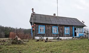 ДУША наша В ДЕРЕВНЕ - жизнь в ГЛУШИ! Обустраиваем НОВУЮ ТЕРРИТОРИЮ!