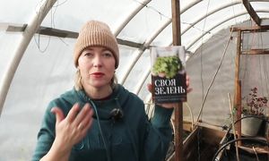 Они ей говорили, что теплица сгниет за год! Ранний посев зелени в теплицу, которой уже 7 лет