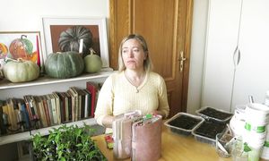 Апрель / Посев томатов, пикировка перца, прошлогодние помидоры и планы на будущее