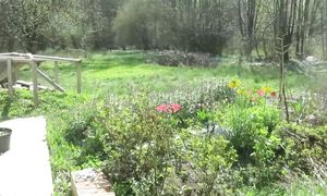 Не думали, что так получится... Что не так с нашим столетним немецким домом