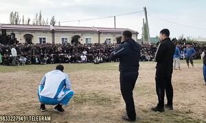 Qashqadaryoda katta kurash tavoqlar boshlandi
