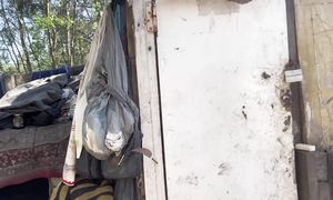 ГАЛЯ 3 ГОДА ЖИВЕТ В БУДЕ НА СВАЛКЕ. МУСОРЩИК. ЛЮДИ ЛЕСА.