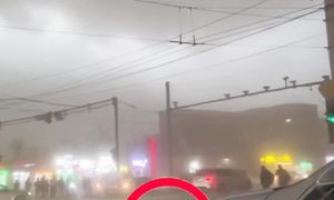 28 марта 2024 г.