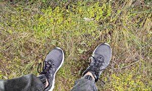 Виру: почему в Эстонии гуляют и купаются в болотах?