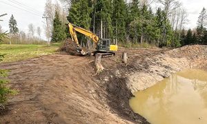 My Pond is Ready - My Homestead (ep. 5)