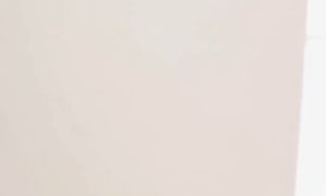 Muammo yechildimi yoki ko'paydimi _ ???? _ Mittivine