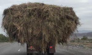 Отдушее некуда!  #вэнлайф  #путешествие #казахстан #вко