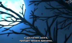 Monogatari - 11 [SUB]
