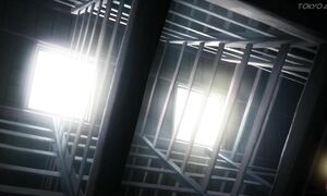 Orange - EP11