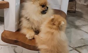 Всем привет!