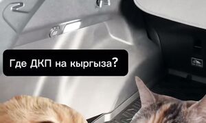 Джили Монжаро за 3???? Ожидание-Реальность????