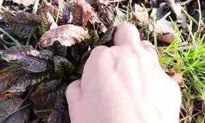 Урожай в начале марта! 10 культур для вкусного салата