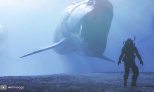 Рыбаки Обнаружили Самую Редкую Рыбы в Мире