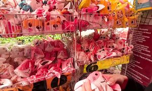 NO ESPERBAMOS PASAR POR ESTO EN MXICO