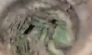 Аааааа!!! ЭТО ПОВЕЗЛО!!!! Хочу! Хочу такое же найти!