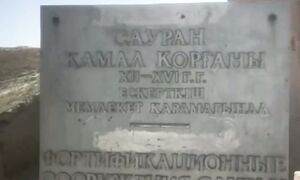 Черепаха охраняет! #путешествие #казахстан #природа #город #vanlife #сауран #туркестан #черепаха