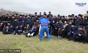 Qashqadaryo Kitobda katta kurash tavoq boshlandi 1.12.2024