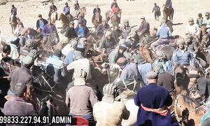 Qashqadaryo Abdulla rayisning katta kupkarisi 2024 yil 20 Oktiyabir