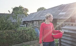 Мы выбрали жизнь в глуши на краю исчезающей деревни! Наш урожай и итоги за год!