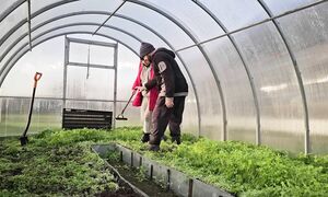 Счастливая жизнь в деревне возле леса! Сельский быт и уют без излишеств, греемся и готовимся к зиме