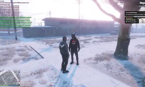 ПРОДАЮ ДОМА за 0$ в GTA 5 RP (и прошу вернуть)