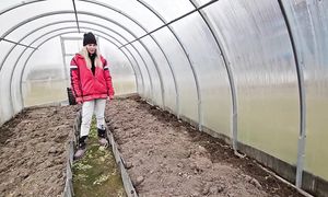 Семья живёт в глухомани возле леса в окружении природы! Ведёт хозяйство, огороды и теплицу!