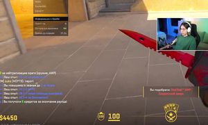 ПРОШЕЛ ПРОВЕРКУ НА ОЧЕНЬ СЛАБОМ КОМПЬЮТЕРЕ И ОБМАНУЛ АДМИНОВ В CS2