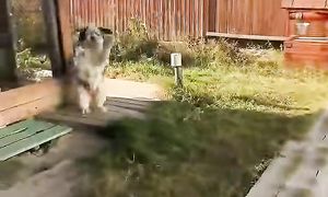 Как часто вы навещаете маму