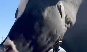 Моя новая презентация