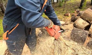 Cutting and splitting firewood - My Homestead Ep.6