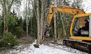 Clearing My Property - My Homestead Ep.8