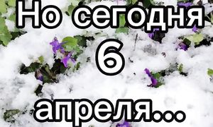 Апрельская зима #снег #огород