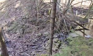 Упс.. обнаружил в лесу непонятное сооружение и потом понял что это.