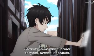 Brilliant Healers New Life in the Shadows - 08 [SUB]