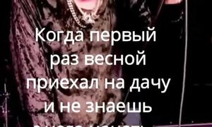 Когда приехал первый раз на участок...