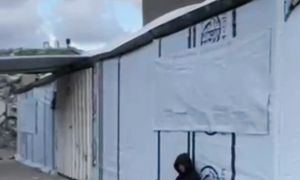 ПАЛЕСТИНАГА ЖАРДАМ