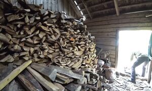 ПОЛЗУЧИЕ ГАДЫ НЕ ДАЮТ СПОКОЙНО ЖИТЬ! БЕЗ ДРУЗЕЙ НЕ СПРАВЛЮСЬ. №345